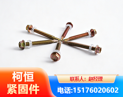 六盘水六角钻尾丝